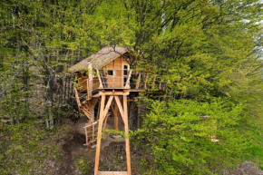 TREEHOUSE POD LESOM, Muráň